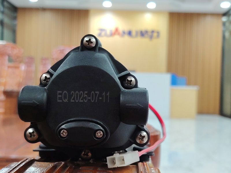 Zuanli Booster Pumps Roaded：Typhoonに逆らう！